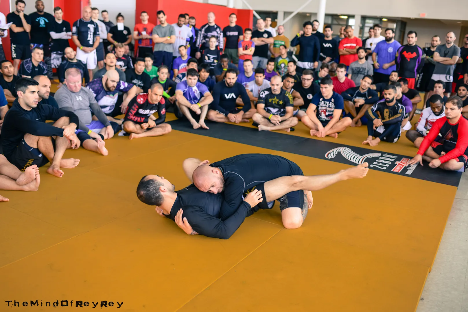 Marcelo Garcia Seminar - Champions Jiu Jitsu Muay Thai