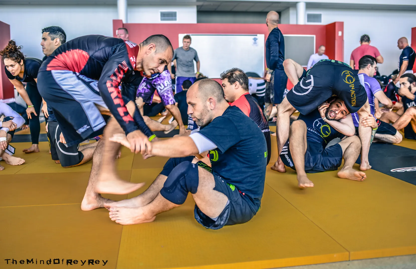 Marcelo Garcia Seminar - Champions Jiu Jitsu Muay Thai