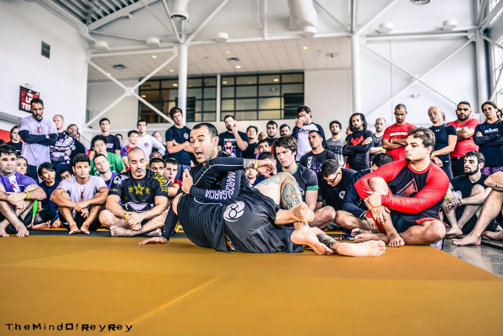 Marcelo Garcia Seminar - Champions Jiu Jitsu Muay Thai