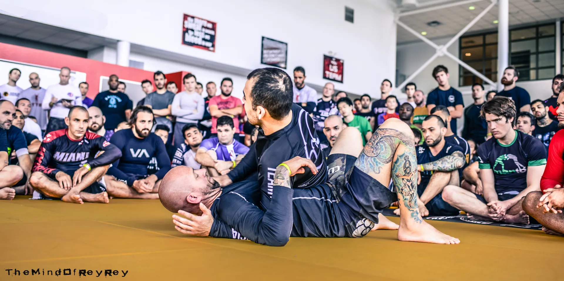 Marcelo Garcia Seminar - Champions Jiu Jitsu Muay Thai