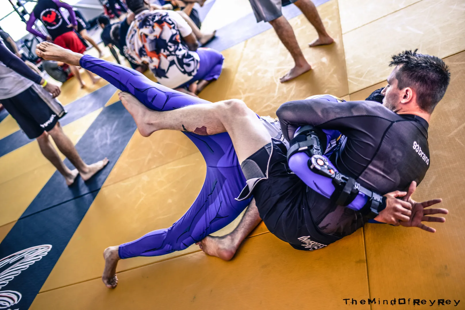 Marcelo Garcia Seminar - Champions Jiu Jitsu Muay Thai