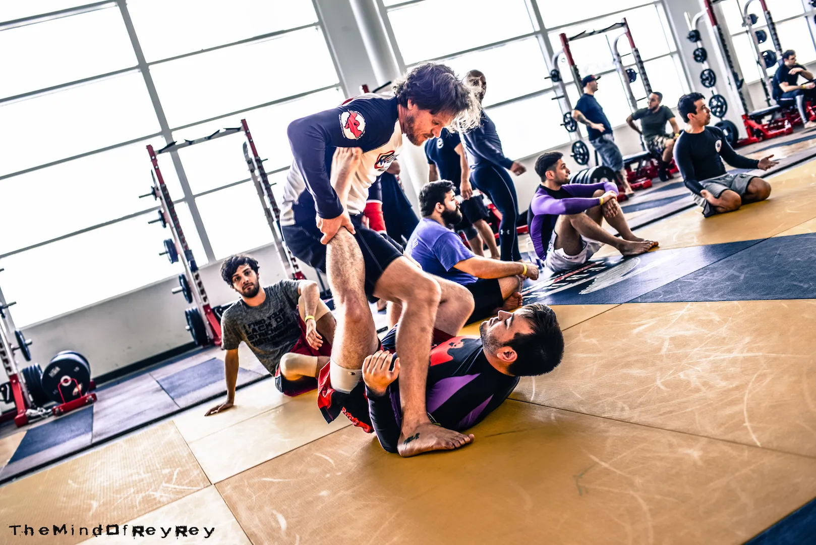 Marcelo Garcia Seminar - Champions Jiu Jitsu Muay Thai