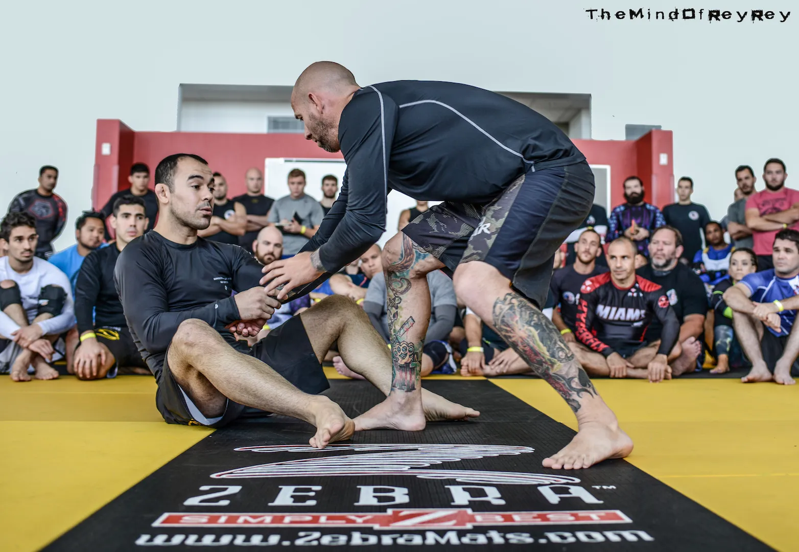 Marcelo Garcia Seminar - Champions Jiu Jitsu Muay Thai