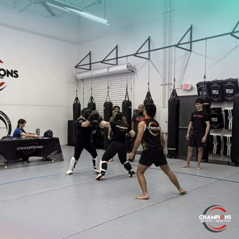 Students practicing controlled sparring during a martial arts class at a training academy + Brazilian Jiu-Jitsu Orlando
